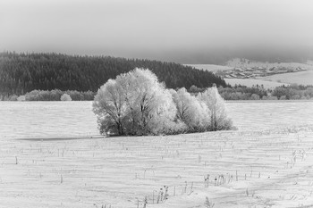 Vor dem Schneefall / ***