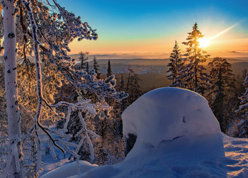 Morgen Landschaft / ***