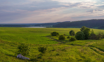 Sommerabend. / ***