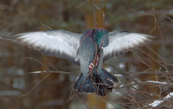 Bei der Arbeit / ***