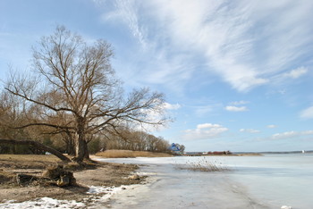 &nbsp; / ***