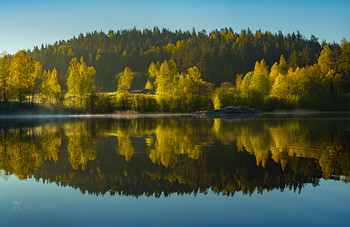 Frühlingsmorgen / ***