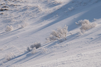 Auf der Piste / ***