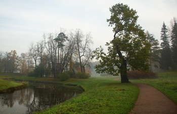 Herbstmorgen ... / ***