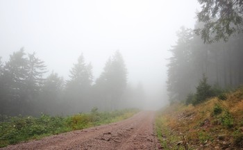 Misty Herbst / ***
