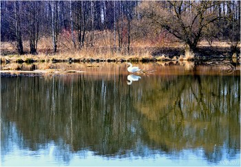 Frühling Etüde / ***