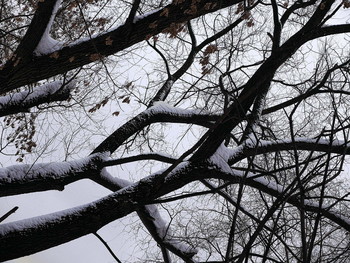 Filiale / 2019-02-27-25-C000-076+C+500