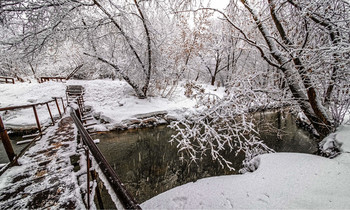 Brücke / ***