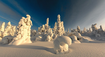 In Wintermärchen / ***