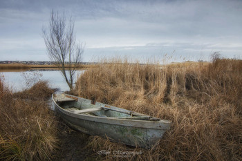 Am Ufer des Flusses / ***
