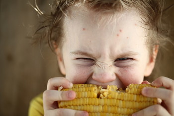 boy eating sweet corn / boy eating sweet corn