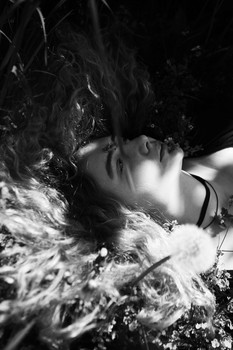 Löwenzahnwein / ***