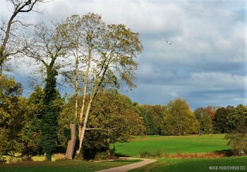 Herbst in der Stadt / ***