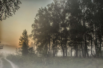 Nebliger Morgen / ***