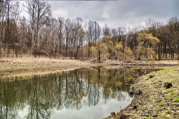 Der Frühling kommt ... / ***