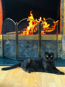 Formale Portrait / ***