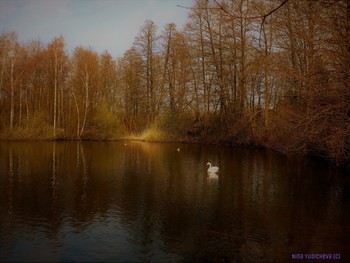 Außenmühlenteich Hamburg / ***