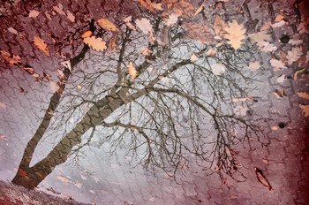 Schatten fallen / ***