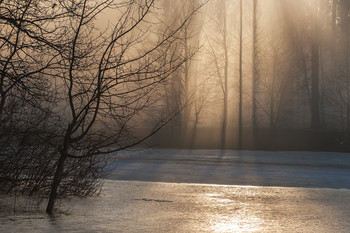 Frühlingsmorgen / ***