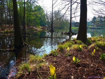 Frühling im Park / ***