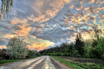Nach dem Regen / ***