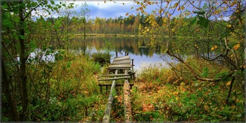 Waldsee / ***