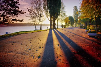 Morgen in den Park / ***