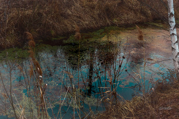 Frühlingslandschaft / ***