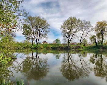 Frühlingslandschaft / ***