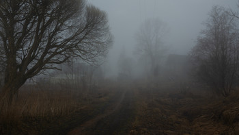 im Nebel / ***