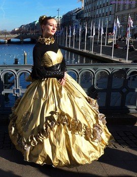 Venezianischer Karneval in Hamburg / ***