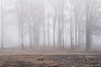 Der Geruch des Herbstes / ***