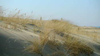 &nbsp; / -------------