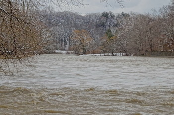 Hochwasser / ***