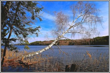 Frühlingslandschaft / ***