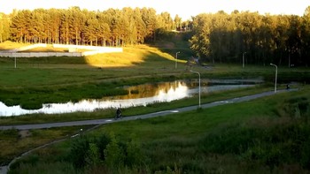 Sommerlandschaft / ***