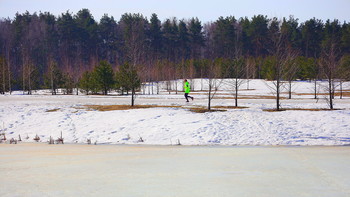 Frühlingsfarben / ***