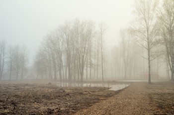 Frühling Nebel / ***