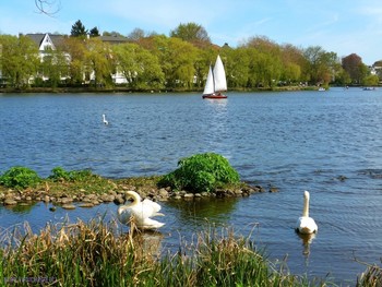 Alster Hamburg / ***