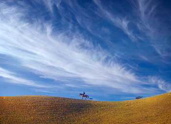 Lonely Shepherd / Lonely shepherd