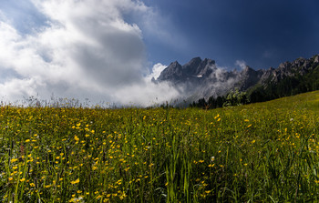 Sommer in den Bergen / ***