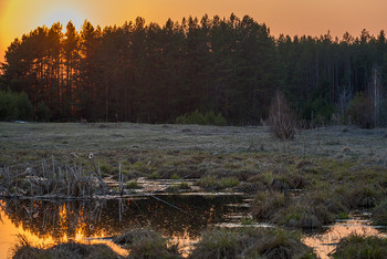 Sonnenuntergang / ***