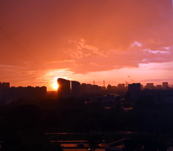 bis die Kühe nach Hause kommen / ***