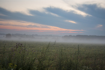 vor Sonnenaufgang ... / ***