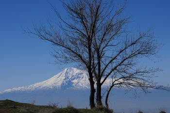 Ararat / ***