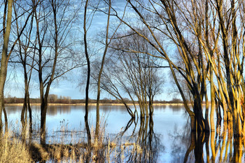 Hohe Wasser / ***