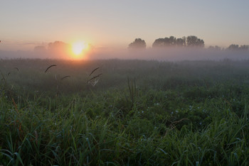 Morgendämmerung / ***