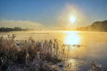 Morgennebel. / ***