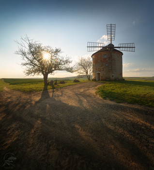 Solar mill / ***