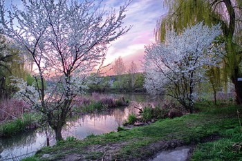 Der Frühling kommt ... / ***